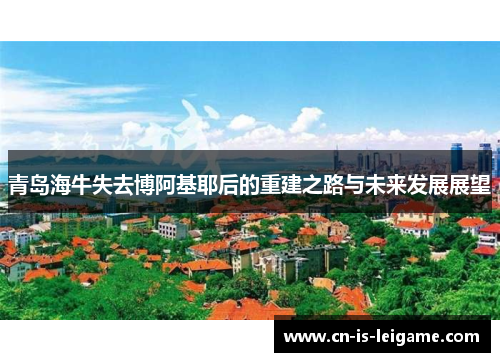 青岛海牛失去博阿基耶后的重建之路与未来发展展望
