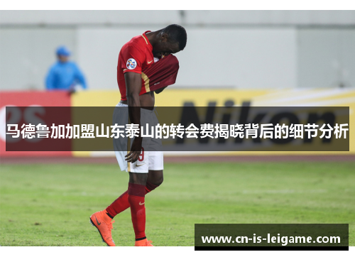马德鲁加加盟山东泰山的转会费揭晓背后的细节分析