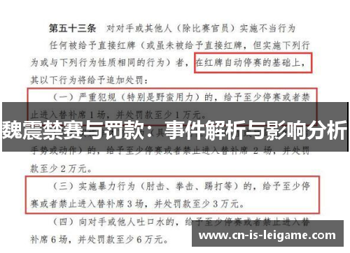魏震禁赛与罚款：事件解析与影响分析