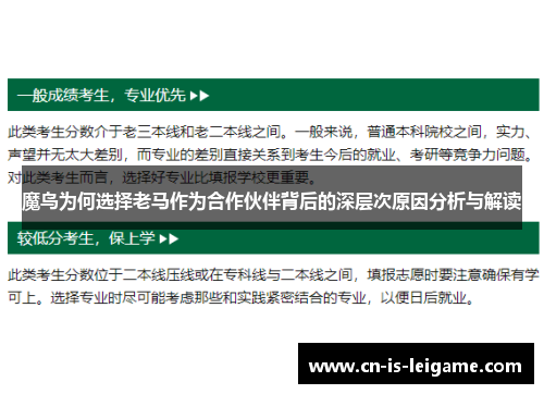 魔鸟为何选择老马作为合作伙伴背后的深层次原因分析与解读
